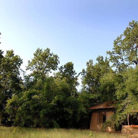 Готель Mahua Kothi, Bandhavgarh National Park Tala  Екстер'єр фото