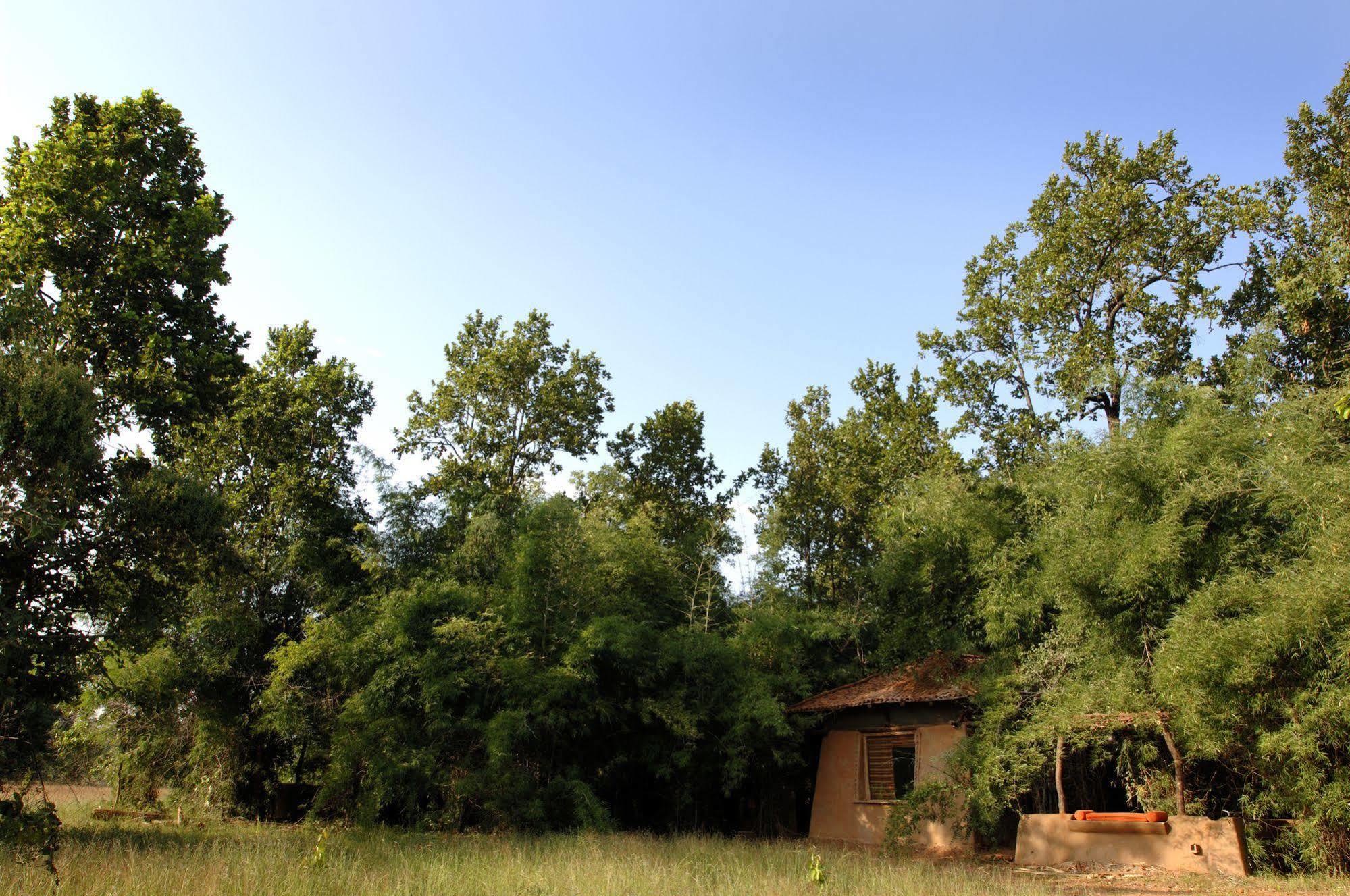 Готель Mahua Kothi, Bandhavgarh National Park Tala  Екстер'єр фото